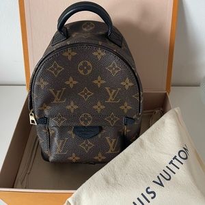 Louis Vuitton Palm Springs Mini Monogram in Brown